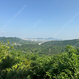 두산 김동주 싸인볼 구하기 힘든공