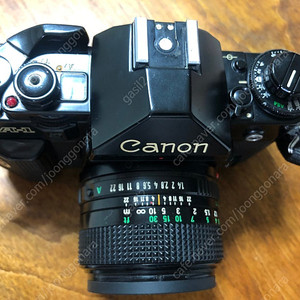 Canon 필름카메라 a-1 + 50미리 렌즈