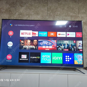 TCL 75인치 4k uhd 75p8m