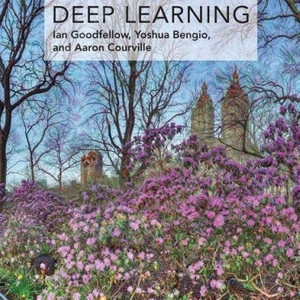 (택포/미개봉) Deep Learning 딥러닝 (Ian Goodfellow, Yosgua Bengio, and Aaron Courville 저)