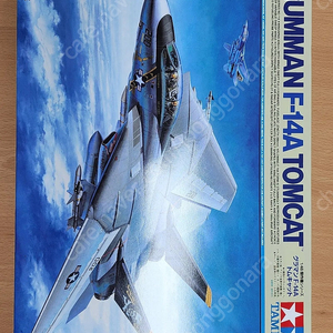 타미야 1/48 F-14A