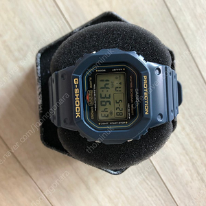 지샥 DW-5600RB-2DR