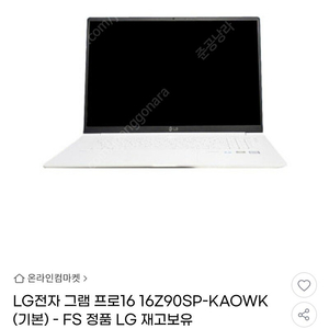 LG 그램 프로 40.6cm 인텔코어Ultra 5