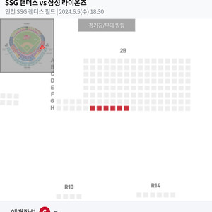 6월5일 SSG 삼성 랜더스필드 응원지정석 2연석 4연석 6연석