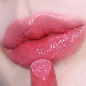 [백화점 새상품] 에스티로더 퓨어 컬러 크림 립스틱 420 레벨리어스 로즈