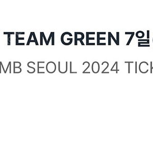 워터밤 2024 7/7 sun green team 티켓 1장 판매