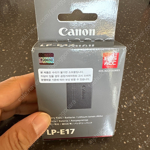 캐논 LP-E17 배터리 1개