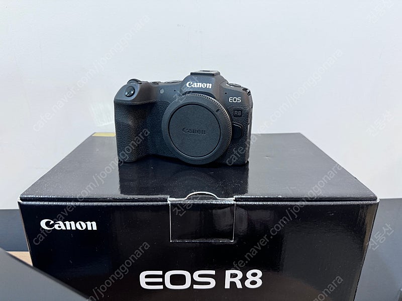 Canon eos r8 + Rf50mm f1.8