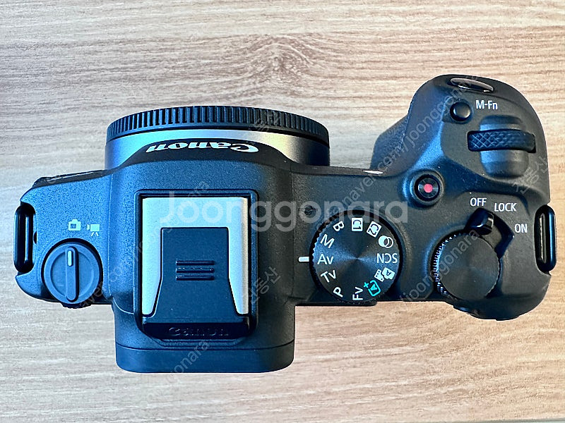 Canon eos r8 + Rf50mm f1.8--2