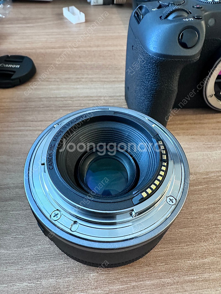 Canon eos r8 + Rf50mm f1.8--9