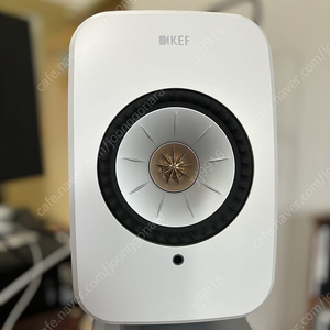 KEF LSX2 + P1 스탠드