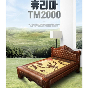 한빛의료기침대 개인용 조합자극기 휴리마 TM2000