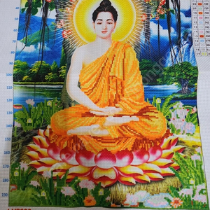 해외 손자수. 아미파파
