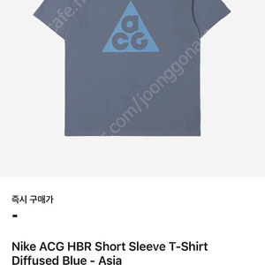 나이키 ACG 티셔츠