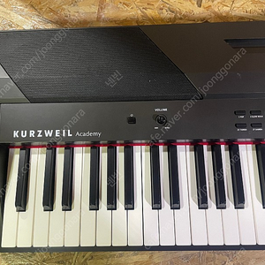 Kurzweil ka90