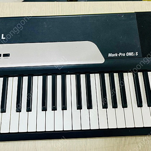 Kurzweil mark-pro oneis