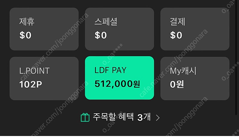 LDF PAY 51만원