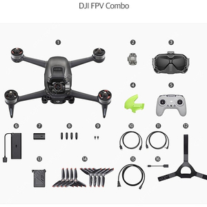 dji FPV 드론