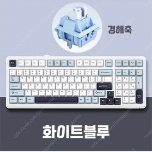 독거미 새상품 미개봉 F99 경해축