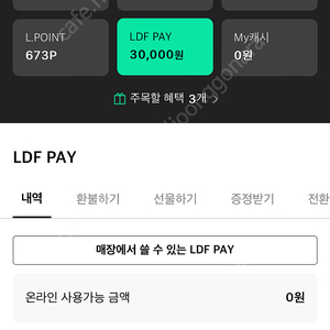 롯데면세점 상품권 (LDF pay)