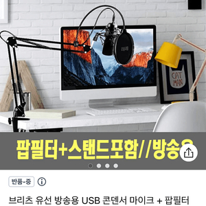 브리츠 유선 마이크 팝니다