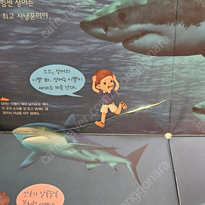 아람북스 자연이쿵