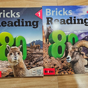 Bricks Reading 80 브릭스 리딩