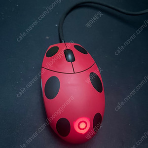 fkmini3 무당벌레