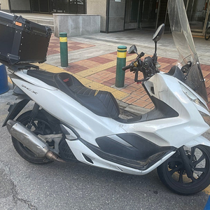 pcx 2020식