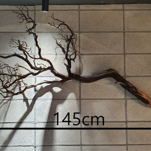 대형 유목(고스트우드) 145cm , 110cm