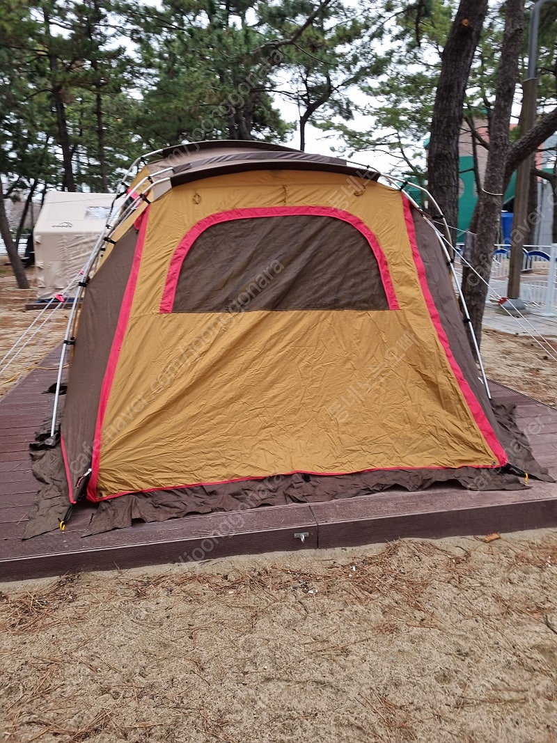 부산 버팔로 뉴그레이트라운지 2룸 거실형 텐트
