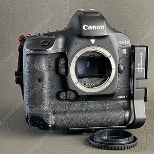 canon 1DX MARK II 2 캐논 왕덱스 왕댁스 2