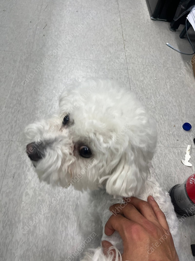 Hpoint에이치포인트 20만 5% 할인판매--0