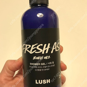 Lush 러쉬 샤워젤 200ml - 미개봉