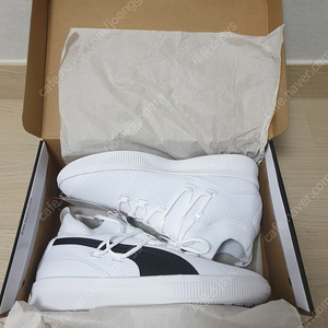 PUMA clyde Court GW 푸마 클라이드 코트 박스 새제품 판매합니다. 사이즈 270mm 화이트 색상 191712 11