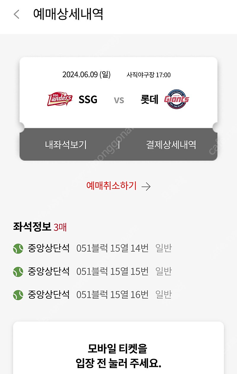 6/9(일) 롯데 SSG 사직야구장 티켓 중앙상단석 51블럭 3연석 카리나 시구