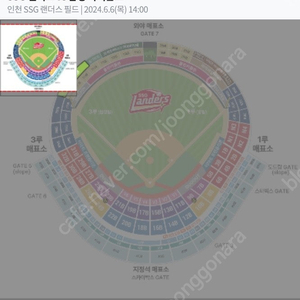 6월 6일(목) SSG 랜더스 VS 삼성라이온즈 그린존 1인