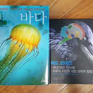 바다 (사이언스북스), 버드 브레인 판매합니다.