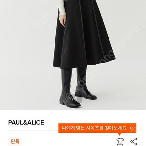 w컨셉 paul&alice