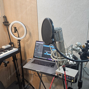 WarmAudio WA47-JR 콘덴서 마이크