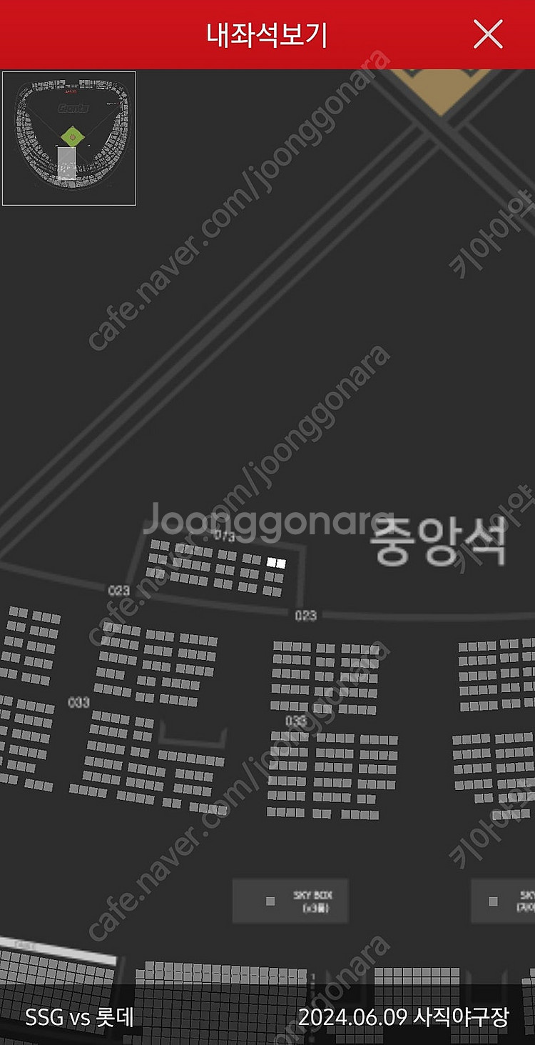6/9 사직구장 롯데 vs SSG 그라운드석 1열 카리...--0