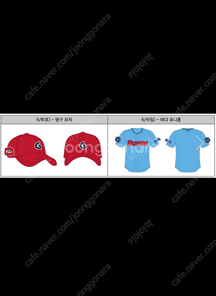 6/9 사직구장 롯데 vs SSG 그라운드석 1열 카리...--1