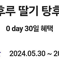 왕가탕후루 딸기탕후루 6월2일까지 1200원팝니다