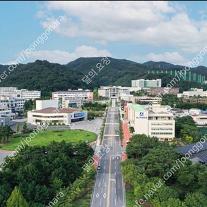 안동대학교 95년도 졸업앨범 구합니다.(30만원)