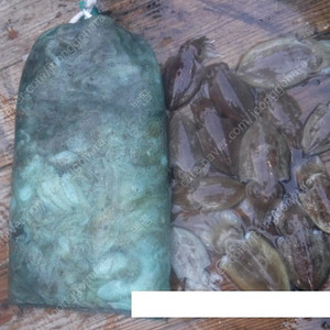 (구매합니다) 리브레 10주년 110mm 베이트릴 핸들