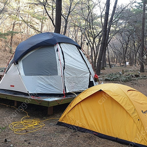 에르젠 아마존 쉘터 텐트