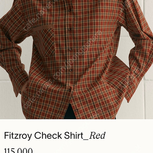 시엔느 fitzroy check shirt