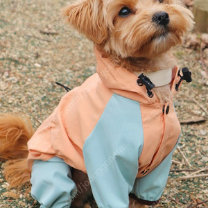 (새상품) 강아지 올인원 우비 겸 바람막이 XL사이즈 색상이뻐요