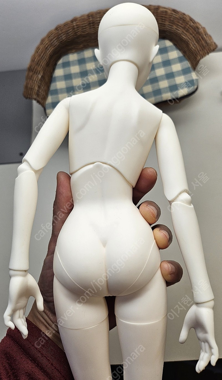 구체관절 인형[위드돌JWD]카시오엠마법학교 - 레이. 이미지