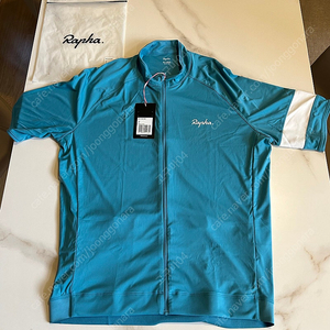 (가격조정)RAPHA Mens Core Jersey (Teal/White)